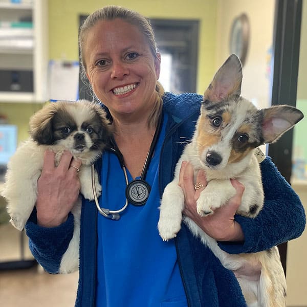 Dr. Sarah Piper, Springfield Veterinarian